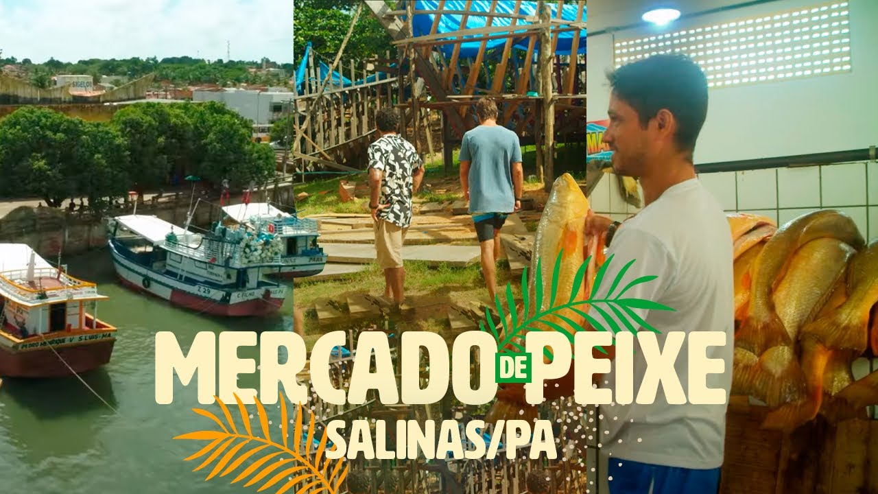 O que fazer e comprar no Mercado Porto Grande em Salinas/PA | Verão Amazônico