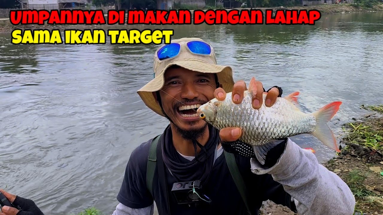 Mancing ikan tawes sirip merah menggunakan umpan andalan #fishing #umpanandalan