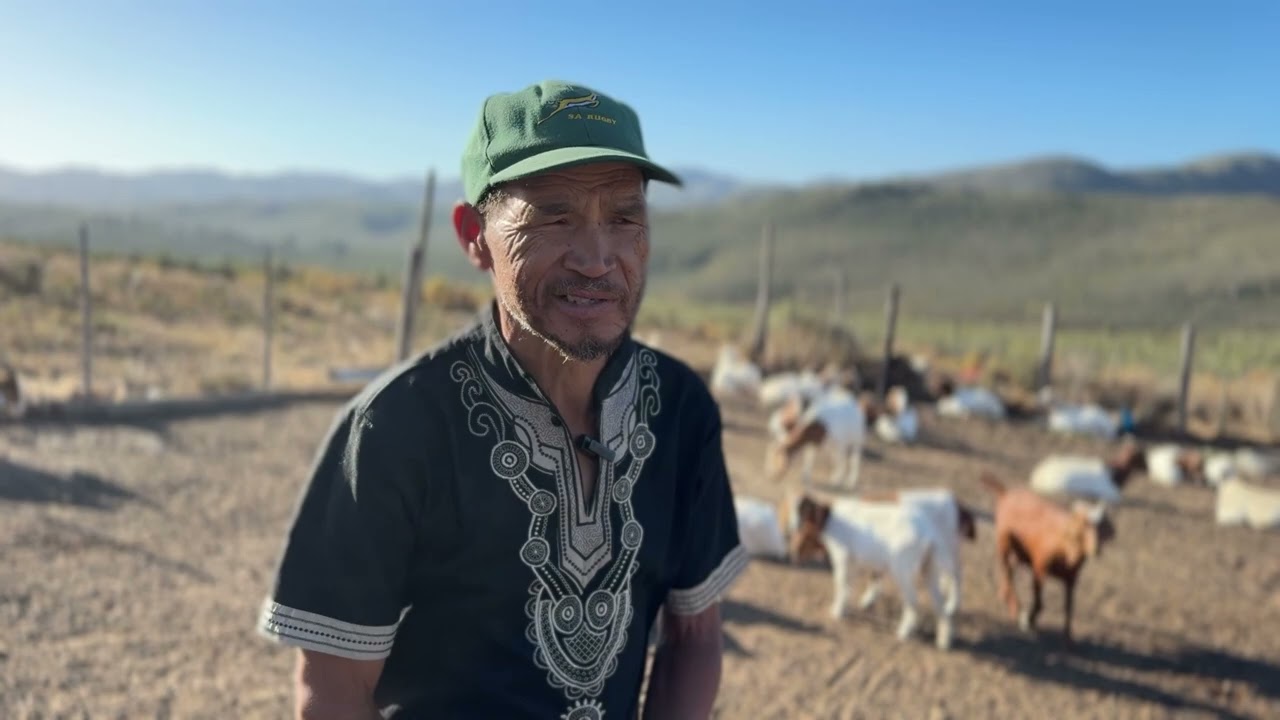 Peter Takelo en sy Bokke