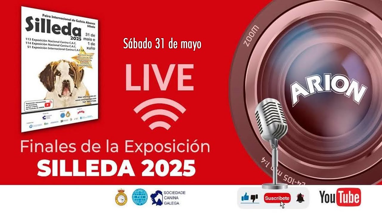 113 Exposición Nacional Canina Silleda 2025 C.A.C. Sábado 31/05/2025