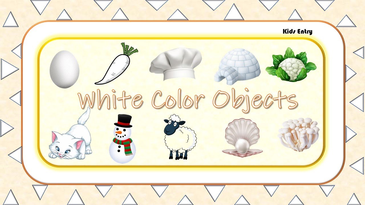 White Color Objects | Learn Colors | Things that are in White colors | White Colors - Kids Entry