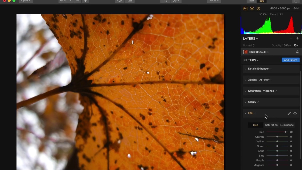Luminar 2018: The Powerful HSL Filter