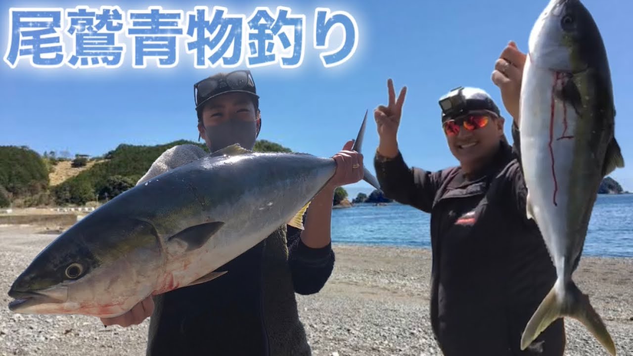 「三重県尾鷲」青物真鯛ゴムボートジギング釣り
