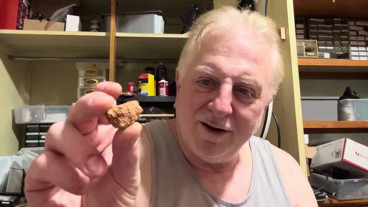 Находки Gold Nugget становятся все больше и больше.
