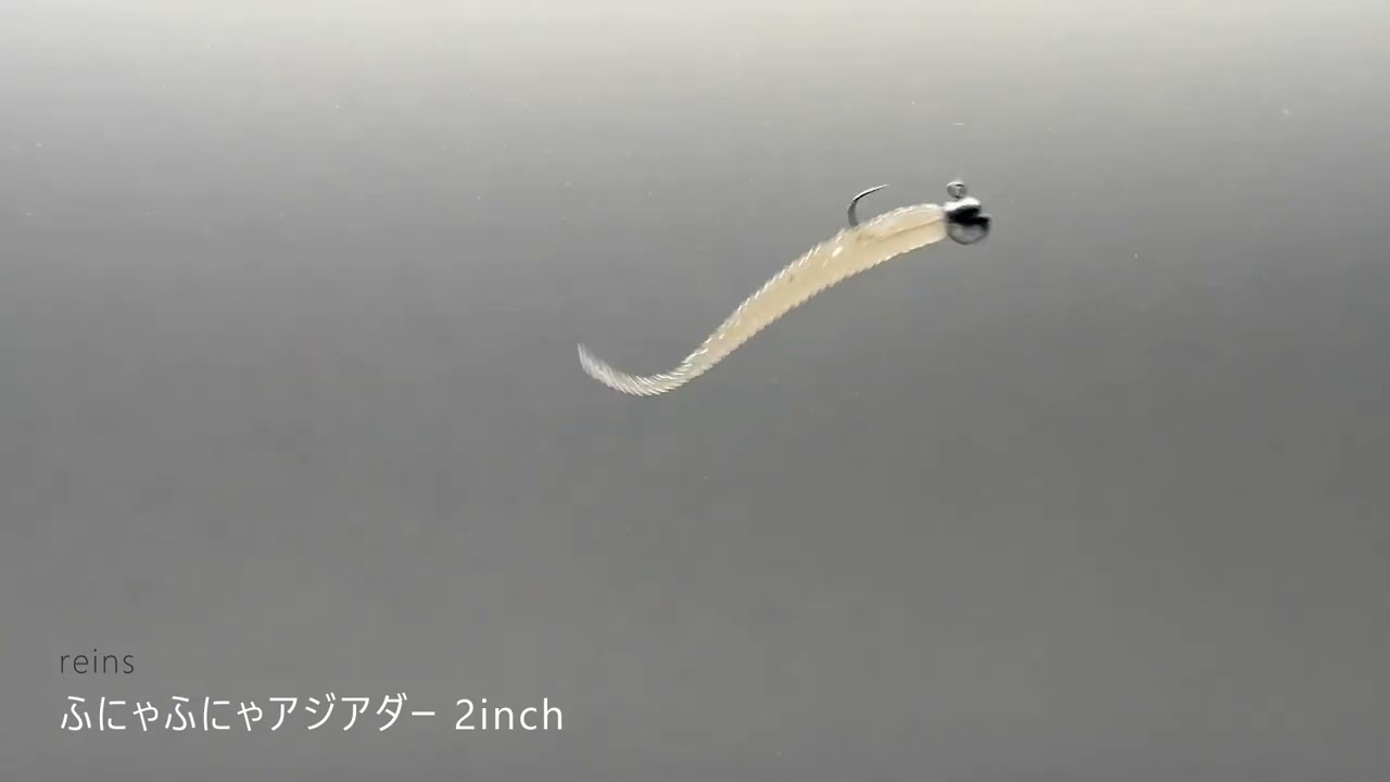 reins ふにゃふにゃアジアダー 2inch