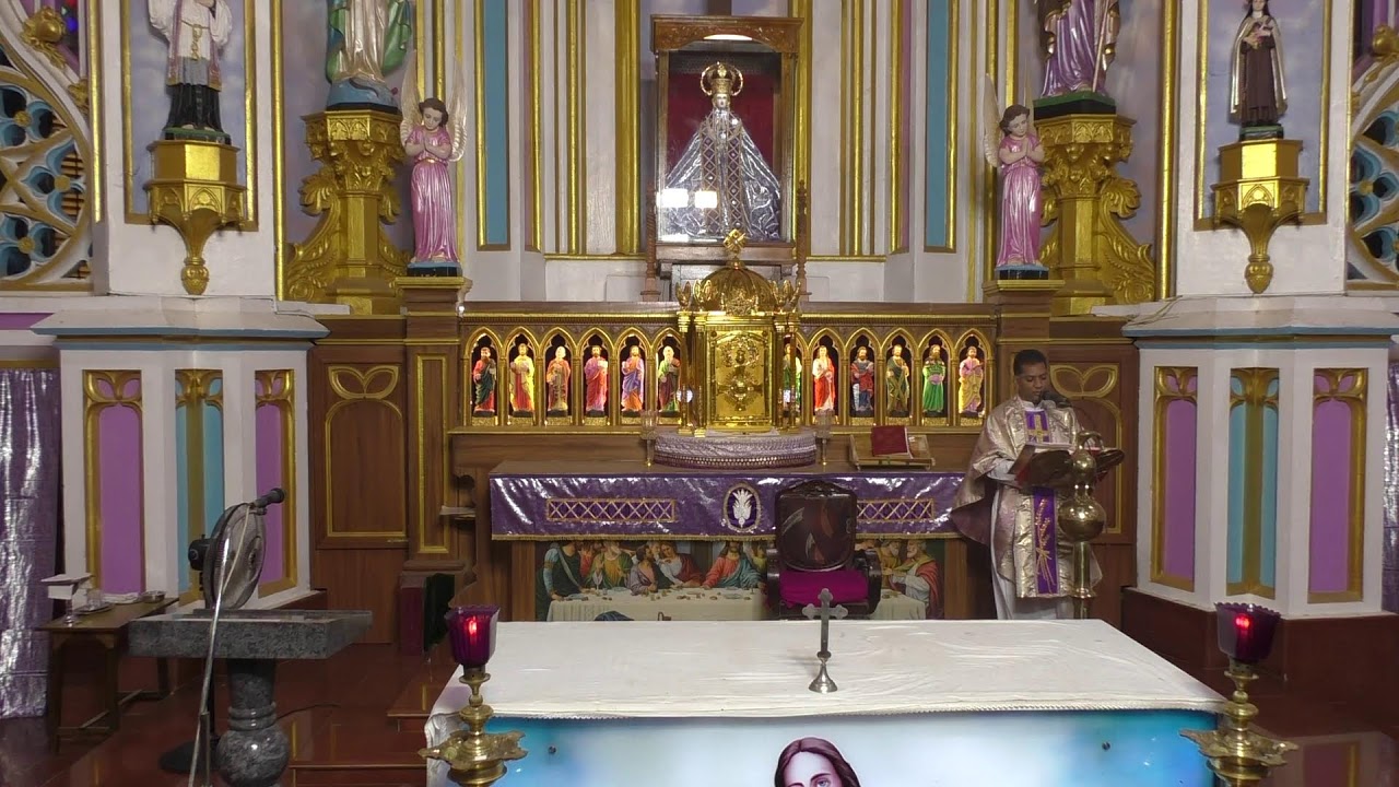 ༺♰༻ 🅛🅘🅥🅔 𝑽𝒂𝒅𝒂𝒗𝒂𝒊 𝑷𝒂𝒓𝒂𝒍𝒐𝒈𝒂 𝑴𝒂𝒕𝒉𝒂 - Festival Mass in Tamil -  2025 - திருப்பலி