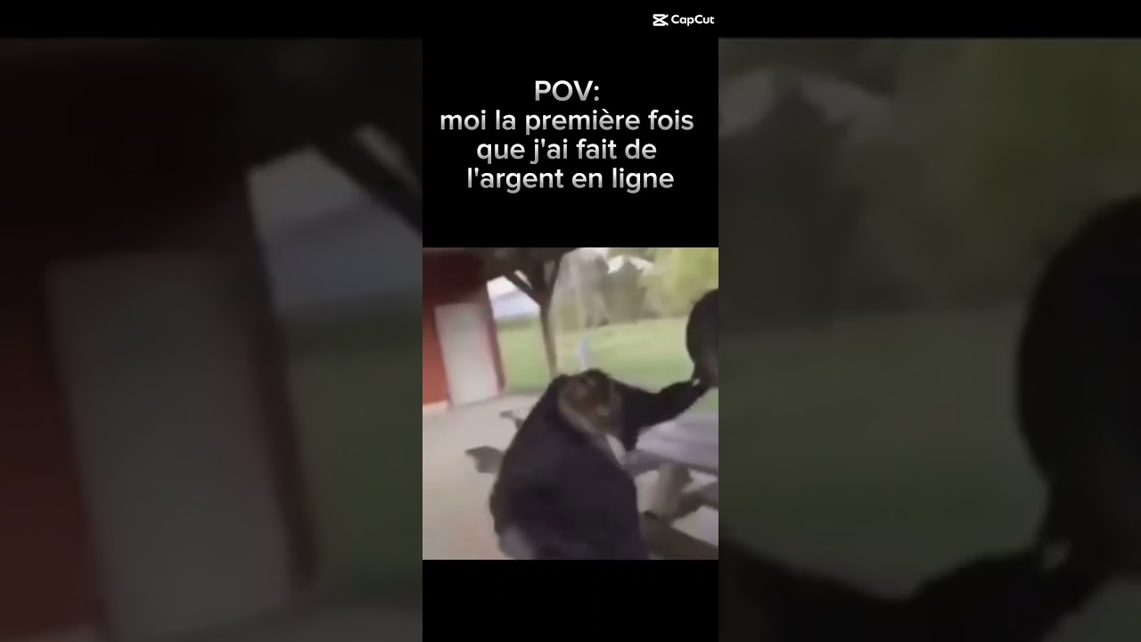 vive la vie!!! #finance #argent #motivation #Meme #MemeCut #CapCut