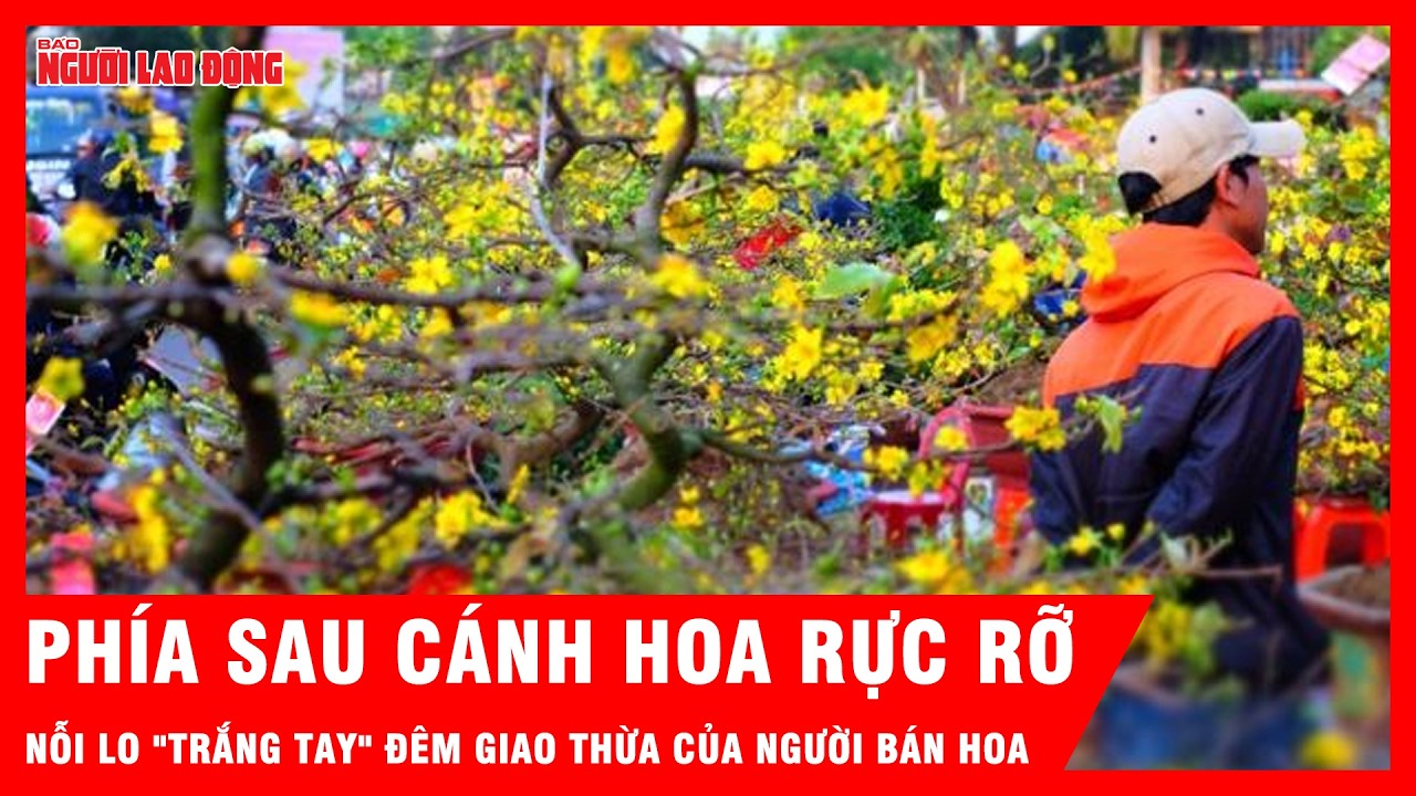Phía sau cánh hoa rực rỡ: Nỗi lo 