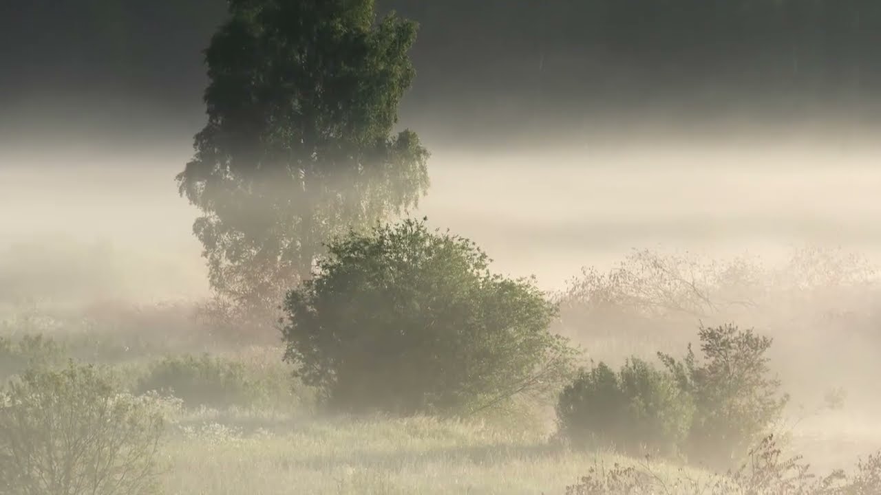 Algimantas Baltakis - Iš Anksto....(Lietuvių poezija)