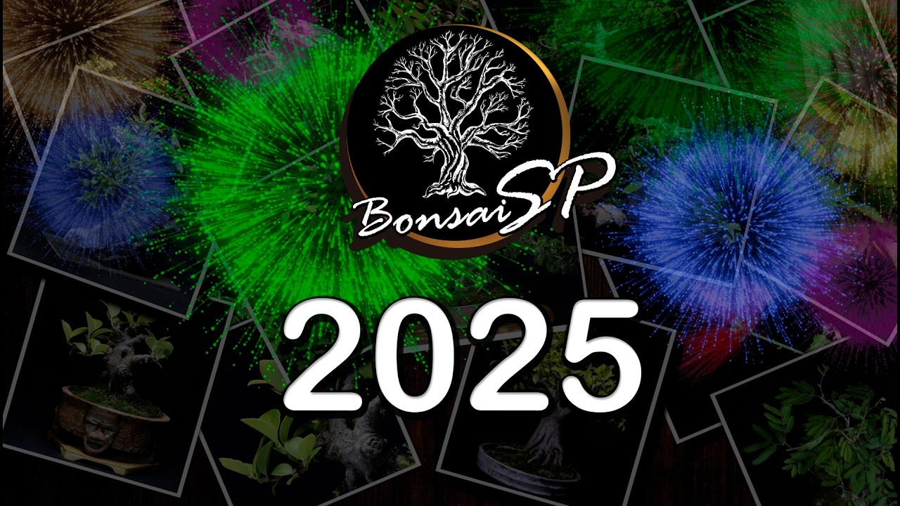 Лучшие работы 2025 | Bonsai SP