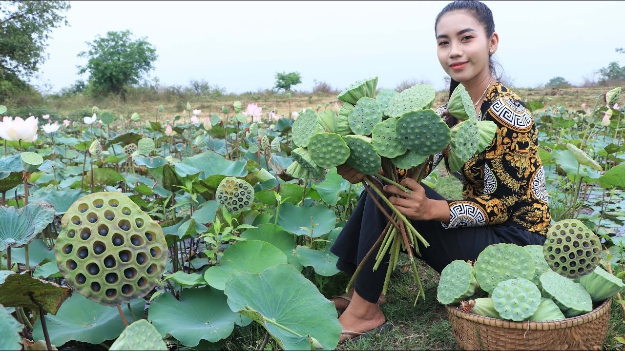 Inside the Miracle Factory From Giant Lotus Seeds to Ultra Pure Lotus Seed Milk