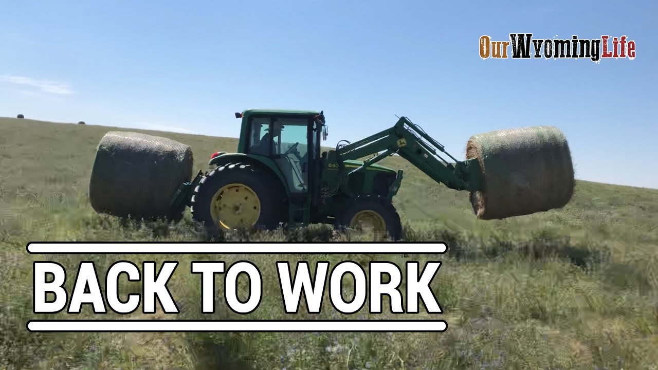 Project List Re-Launch - Back To Work on the Ranch