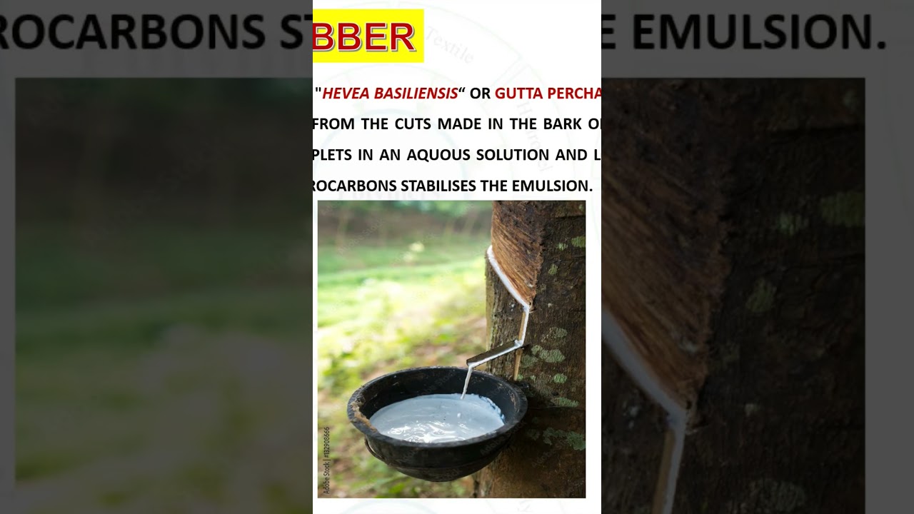 NATURAL RUBBER & VULCANIZATION OF RUBBER
