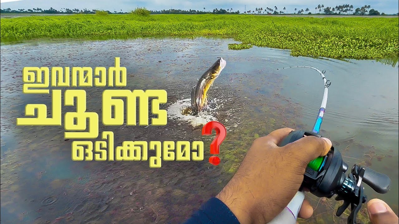 പുതിയ ചൂണ്ടയിൽ കിട്ടിയ മീനെകണ്ടോ 😳 #kerala #fishing 