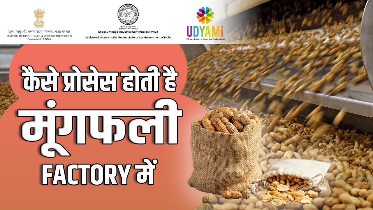 Peanut Processing | Ground Nut To Peanut Processing | Peanuts Harvesting & Processing | Food Factory