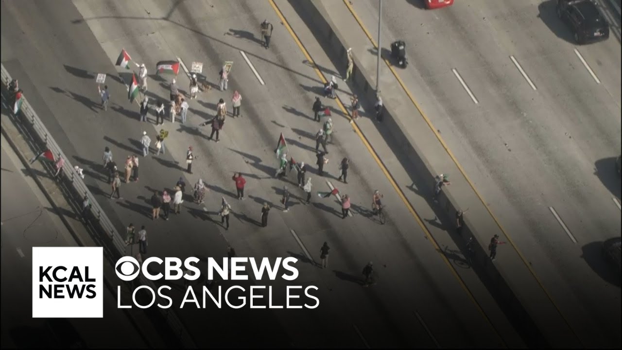 Pro-Palestinian protesters block 101 Freeway in Downtown LA