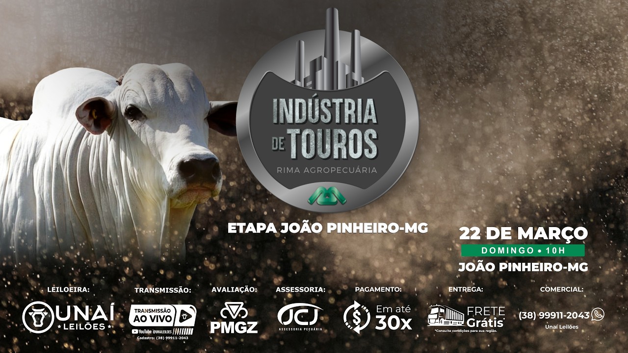 LEIL&Atilde;O INDUSTRIA DE TOUROS RIMA - ETAPA JO&Atilde;O PINHEIRO - MG