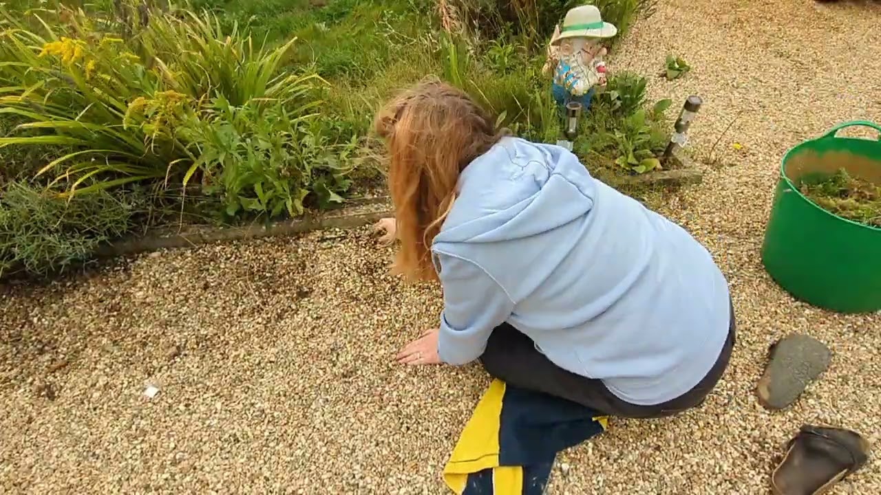 Clearing up after summer #autumn #gardening #garden #englishgarden 