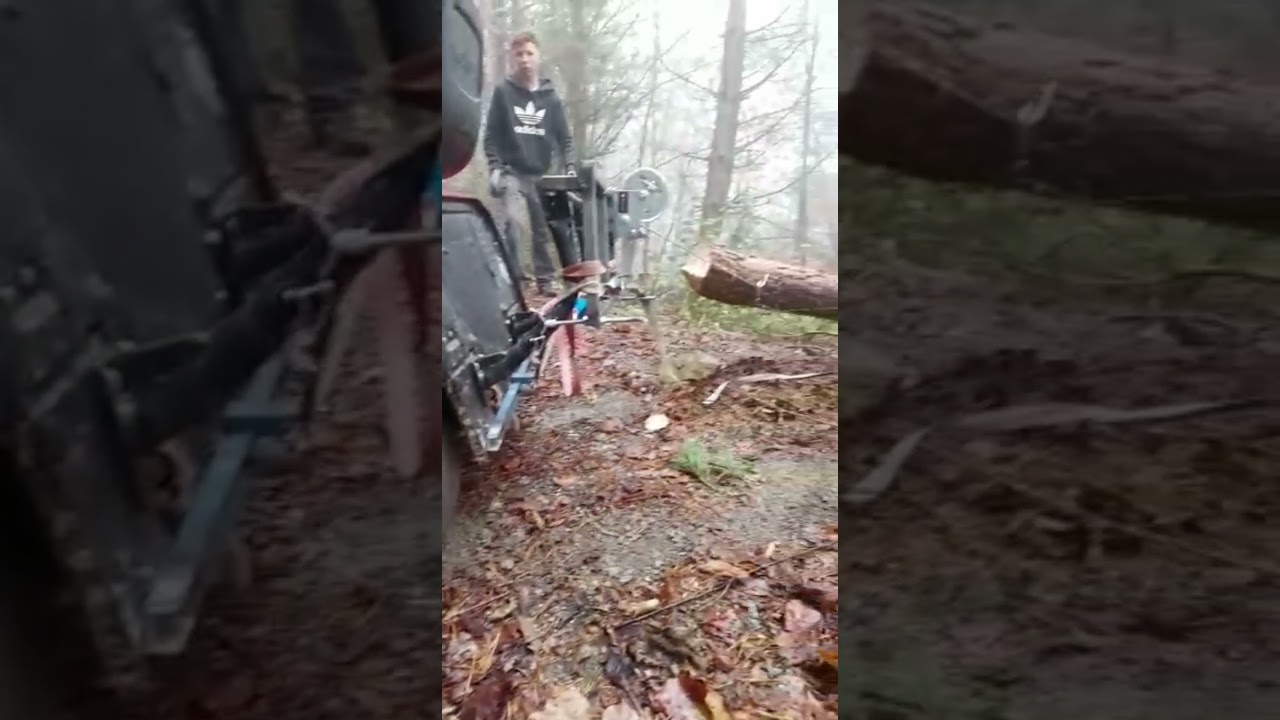 🌲Es l&auml;uft...🌲Forstarbeiten im Steilhang|19.11.2021| Winden mit Honda und Ford