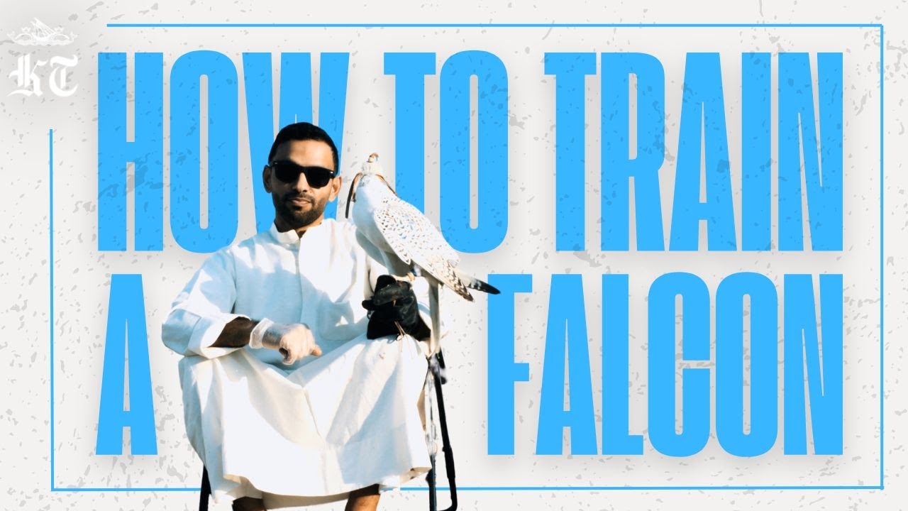 A Day in the Life of a Kuwaiti Falconer