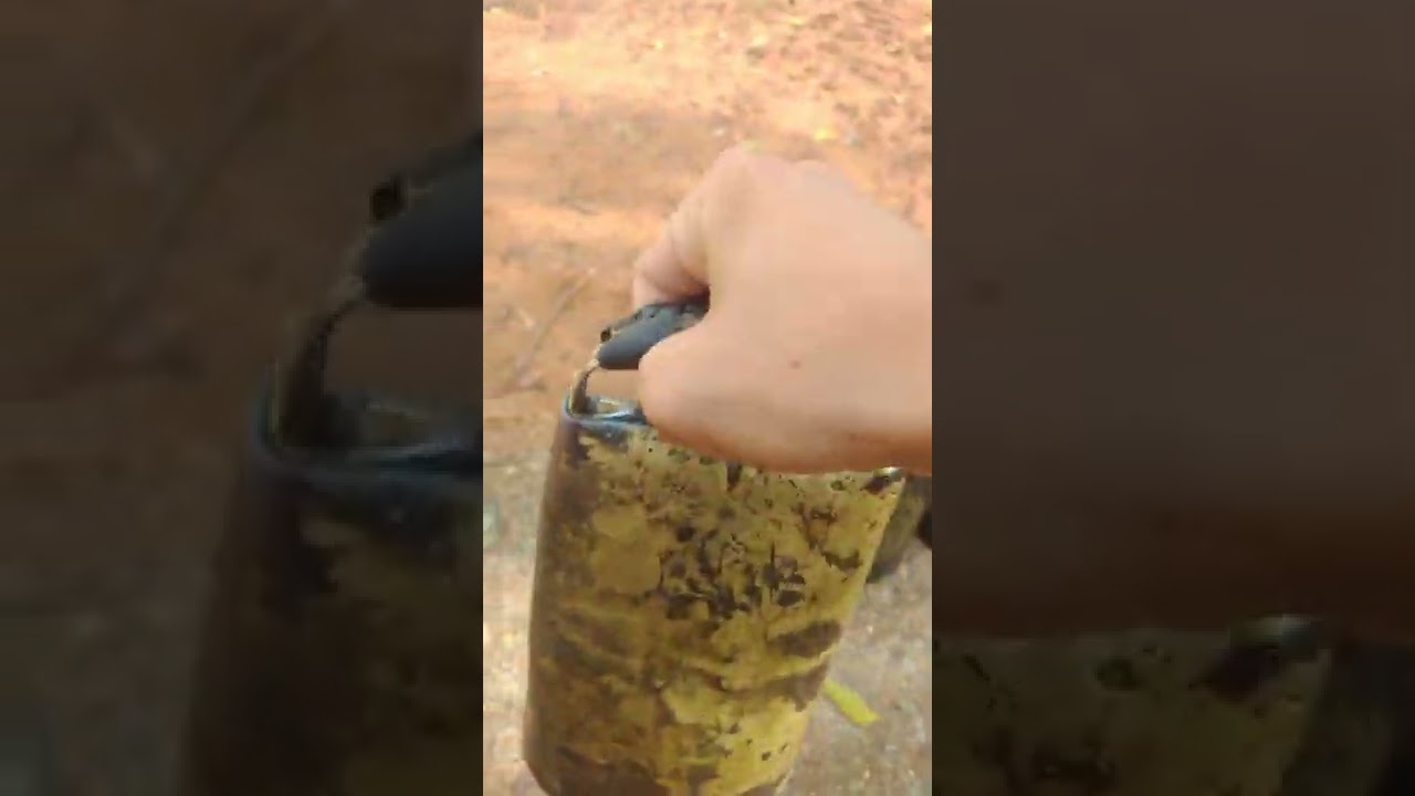 chocalhos pé de serra e chocalho boca de sino