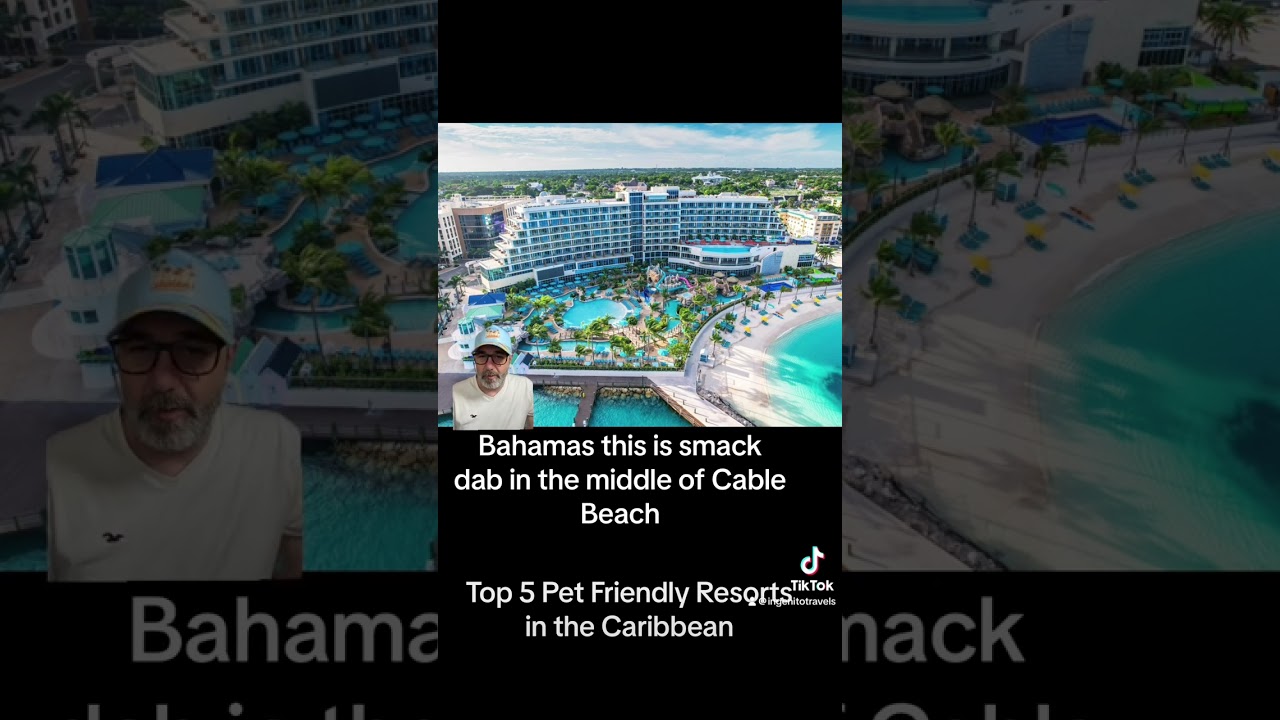 Top 5 Pet Friendly Resorts in the Caribbean 2024