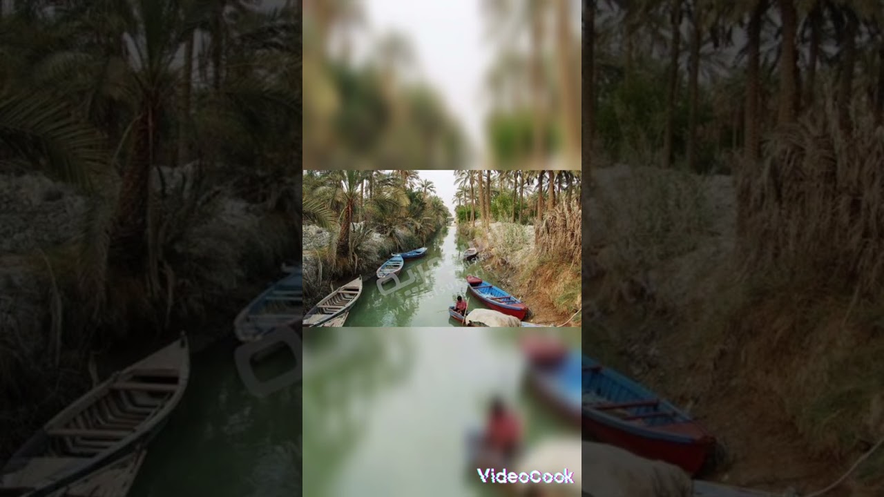 مطوعي سيد سهل... اهداااء للجميع تراث