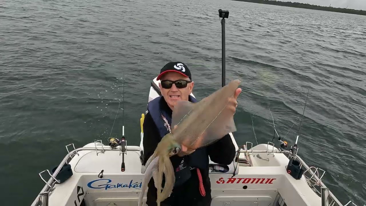 Westernport squid and Whiting