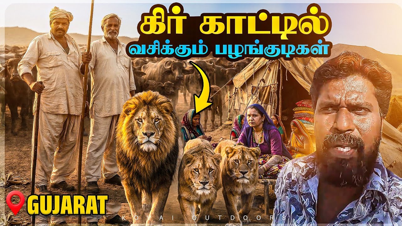 சிங்கங்கள் நடுவில் வாழும் மனிதர்கள்-கீர் காட்டின் அதிர்ச்சி ரகசியம்|Maldhari Tribes|Gujarat