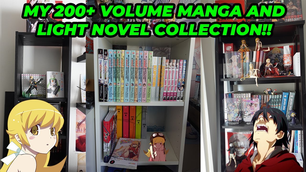 Manga & Light Novel Collection Update! (200+ Volumes)