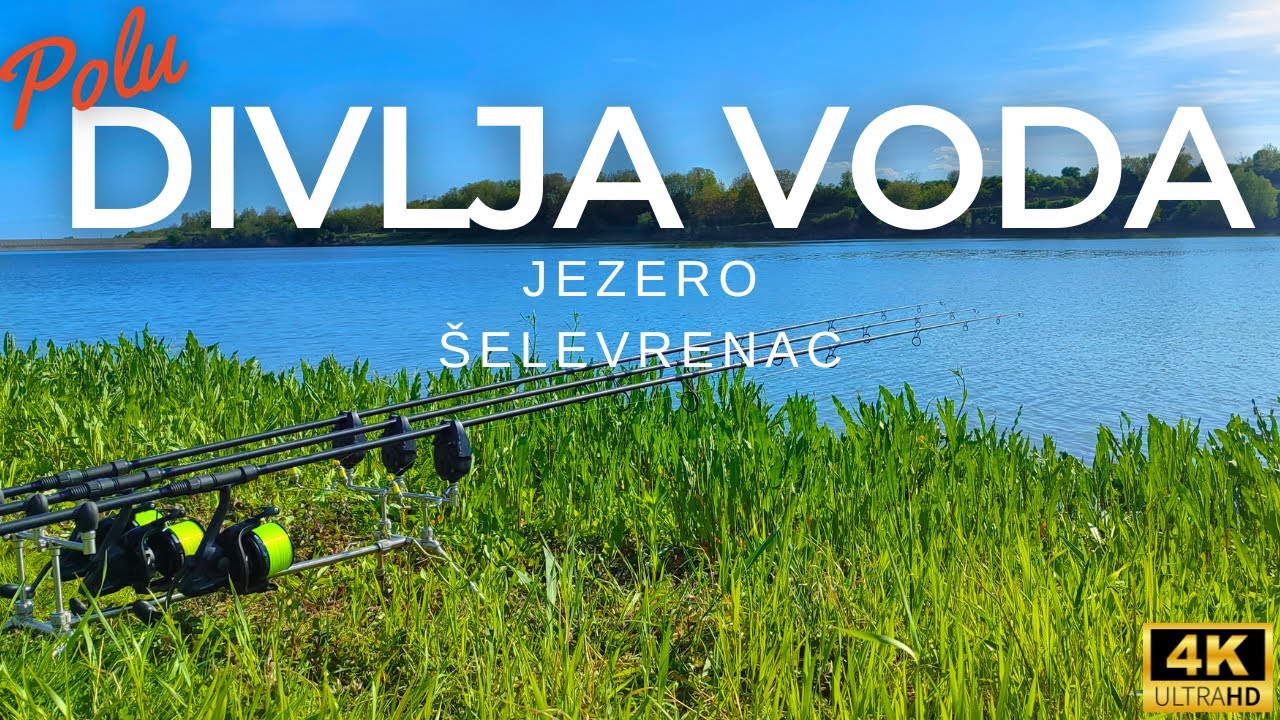 polu 😮DIVLJA VODA😮 - Šelevrenac - pecanje!!!