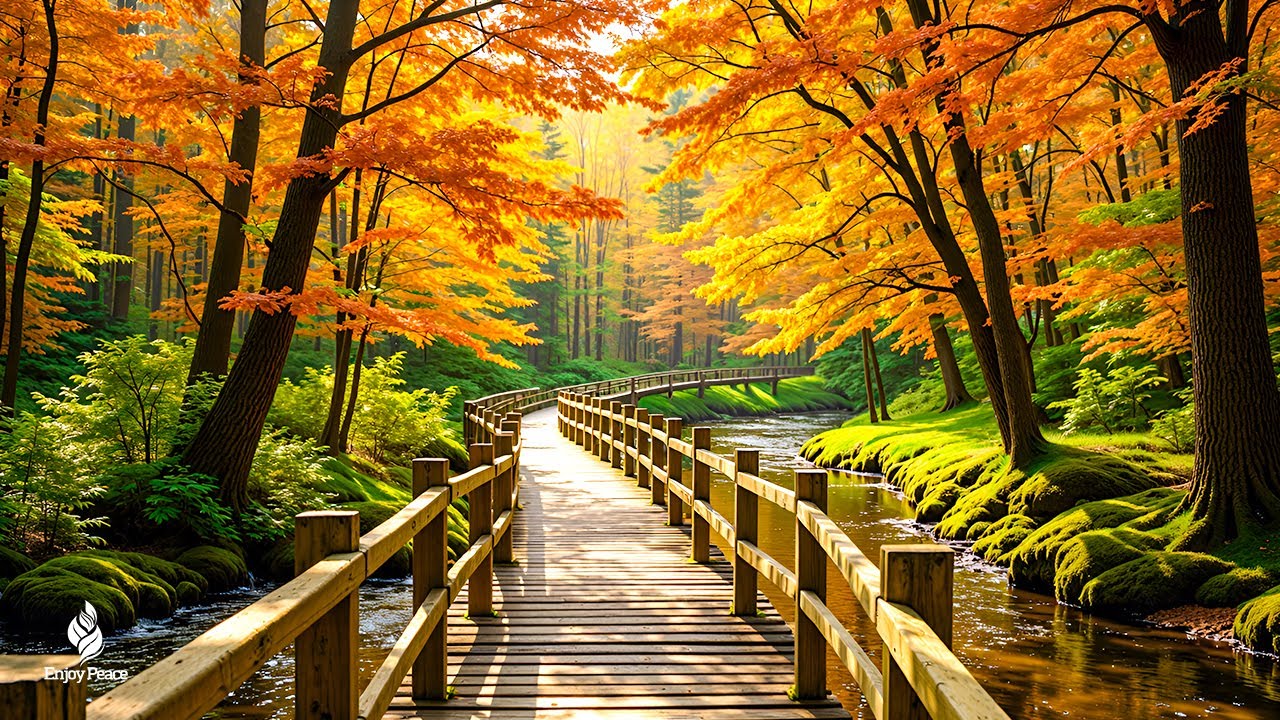 Beautiful Relaxing Music 🍁 Soft Autumn Sounds for Relaxation & Meditation