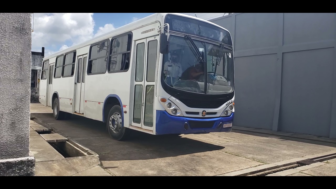 Como dar r&eacute;  sem  bater - capacita&ccedil;&atilde;o profissional. 81.98889-3040