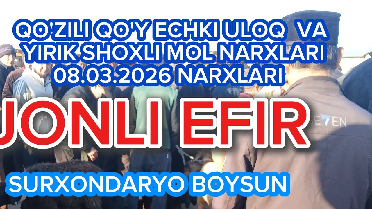 SURXONDARYO BOYSUN MOL BOZORI 08.03.2026 BOYSUN BARAKA efirda!