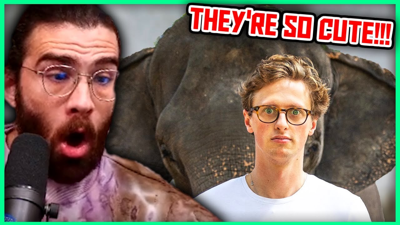 I Spent 24 Hours With An Elephant | Hasanabi Reacts to Max Fosh