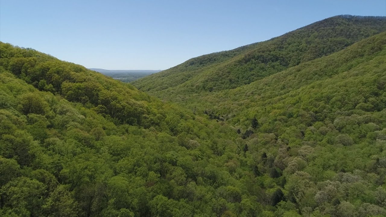 Brushy Mountain and Frozen Head State Park