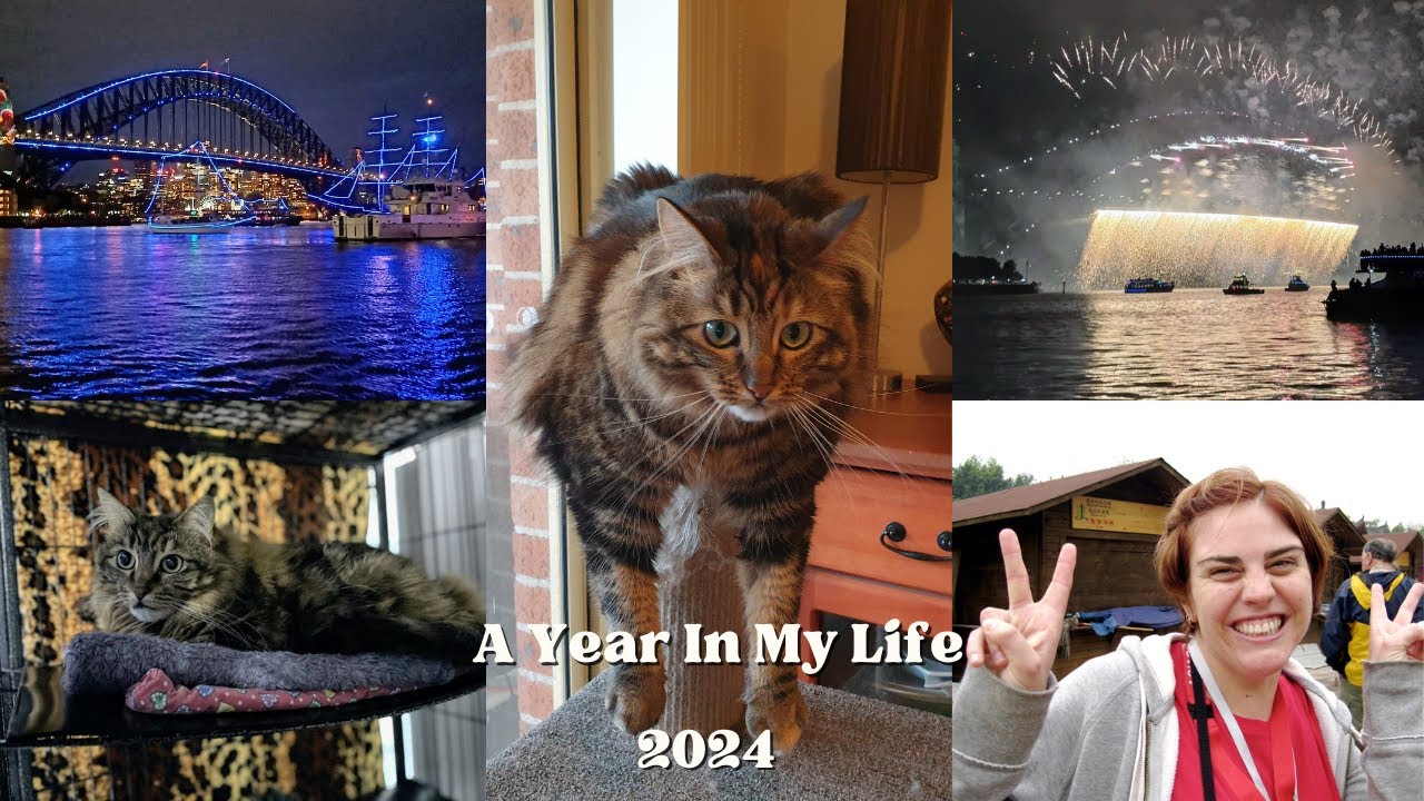 My 2024 Review The Good the Bad and the Ugly