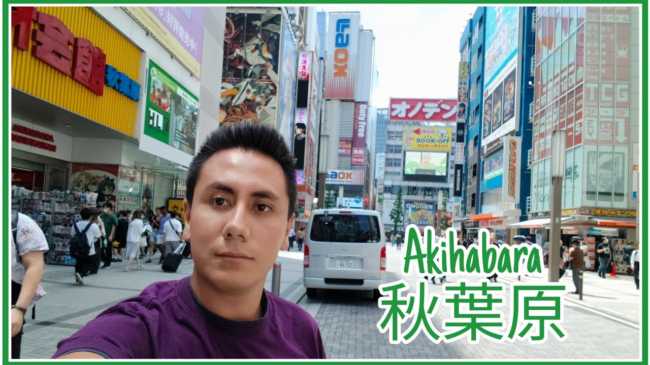 Fuimos a Akihabara 