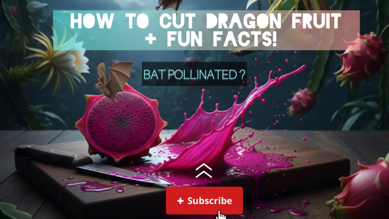 How to Cut Dragon Fruit + 5 Secrets You Never Knew!😲🤤