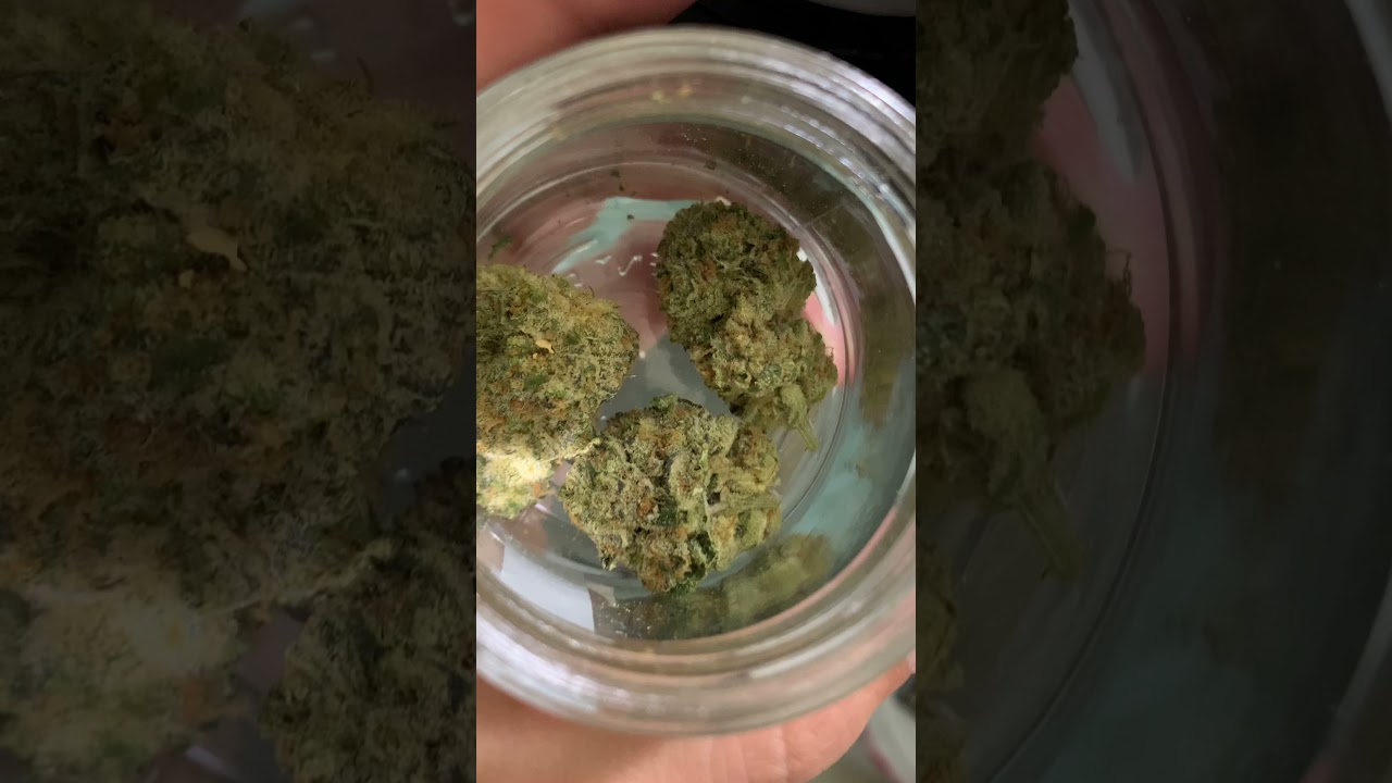 ANIMAL MINTS STRAIN BY FLORACAL #whatsinyourbag?