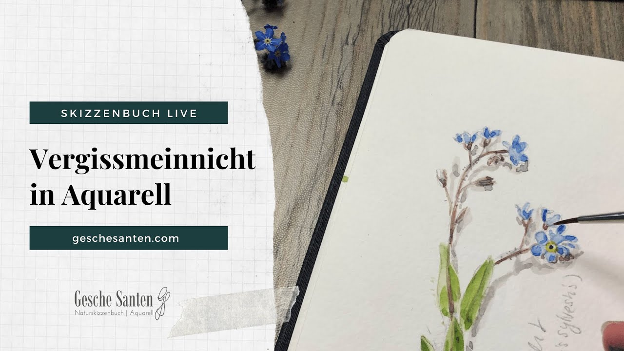 Nature Journal im Frühling: Wald-Vergissmeinnicht in Aquarell