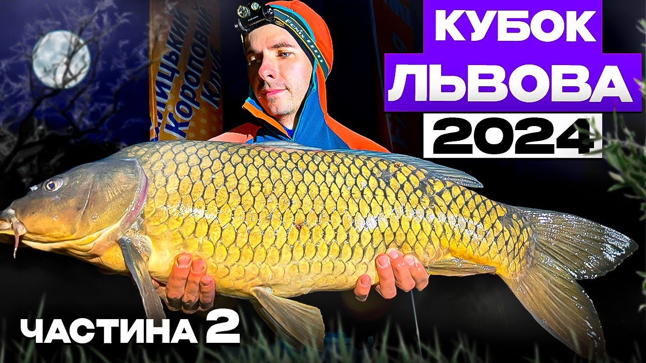 Кубок Львова 2024. Частина 2