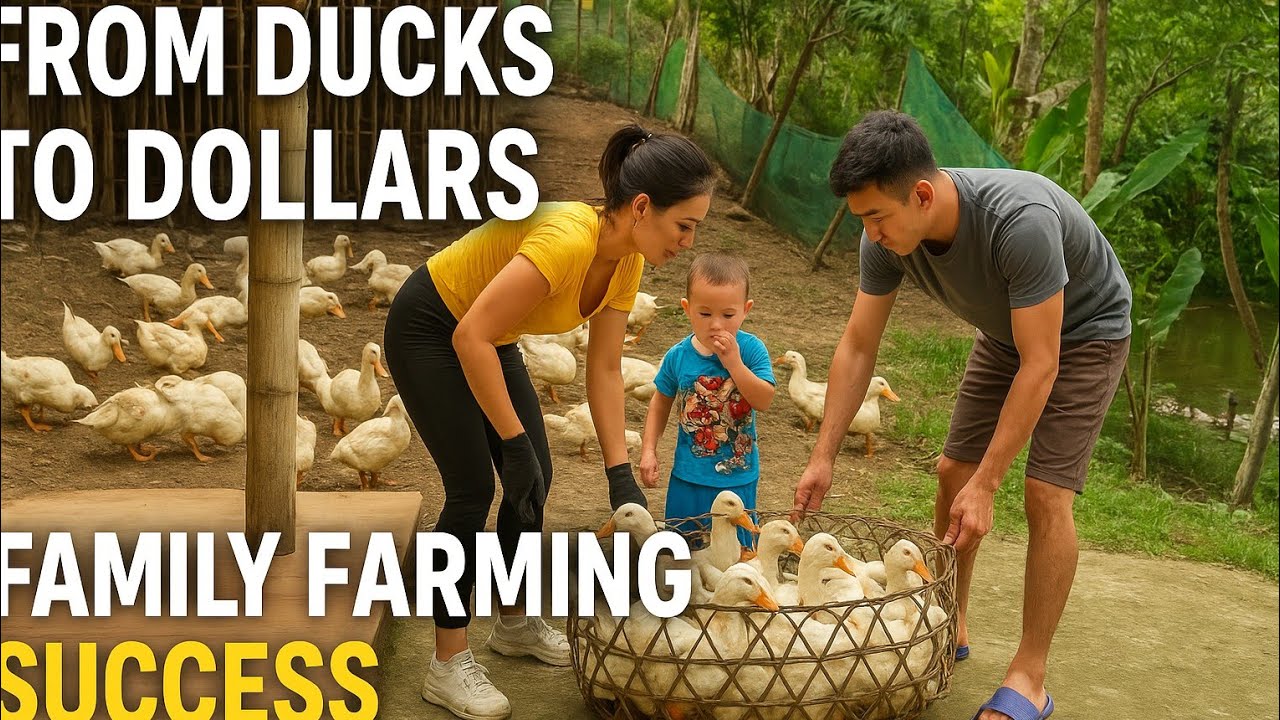 "Profitable Duck Farming: Family’s Secret to Big Income from Poultry"