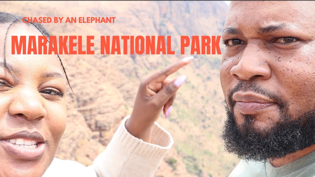 Chased by an Elephant at Marakele National Park
