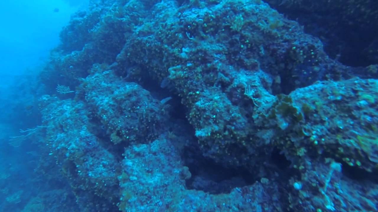 Immersioni Isola d'Elba 