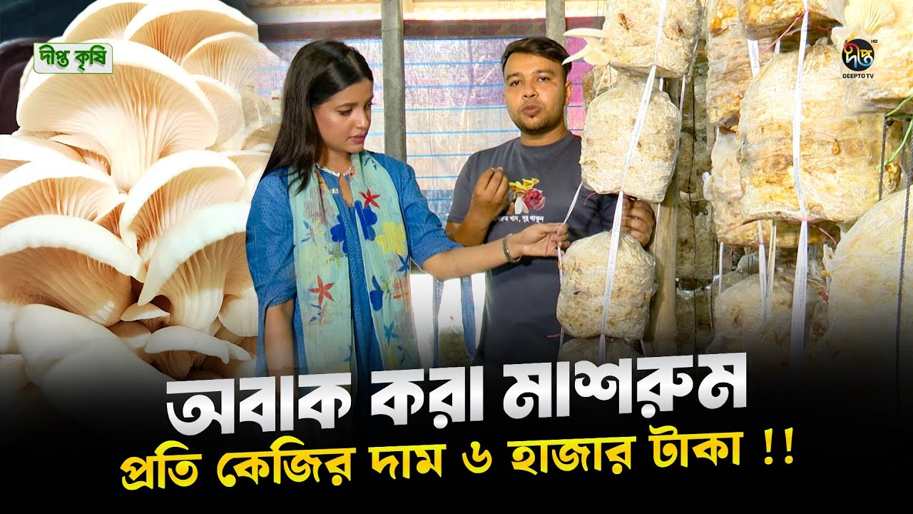 Deepto Krishi | পৃথিবীর ২য় দামি মাশরুম, ঋষি বা ganoderma মাশরুম চাষ করে সফল খামারি | EP 1662
