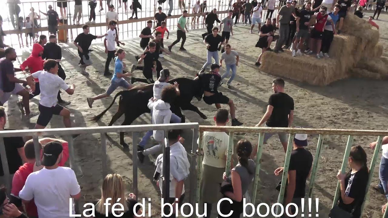 Grau-du-Roi ▶Bandido + Attrapaïres◀ 7 & 10 Septembre 2024.