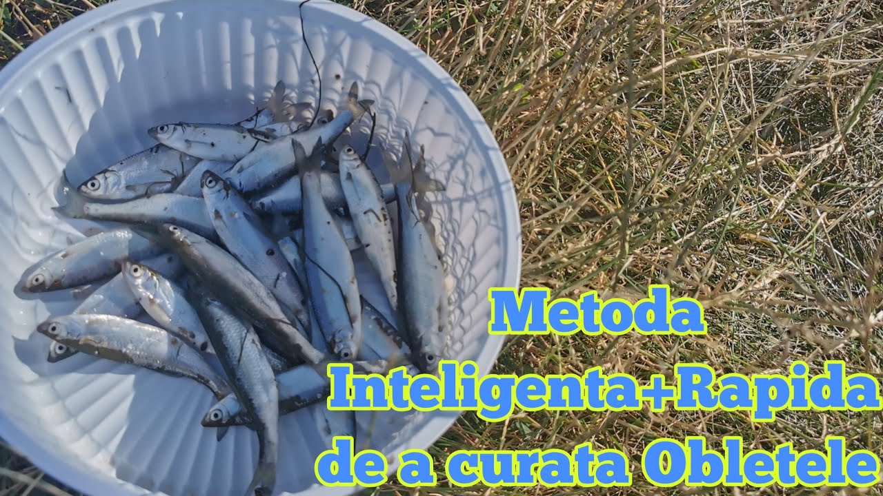 Metoda ce-a mai Rapida de CURĂȚAT OBLETELE 🐟🐟🐟