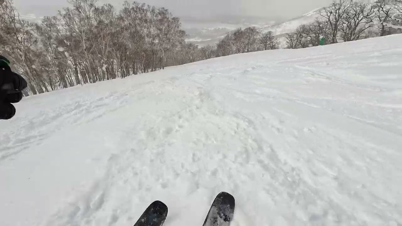 20220218 NISEKO ANNUPURI GONDORA TOP TO BOTTOM