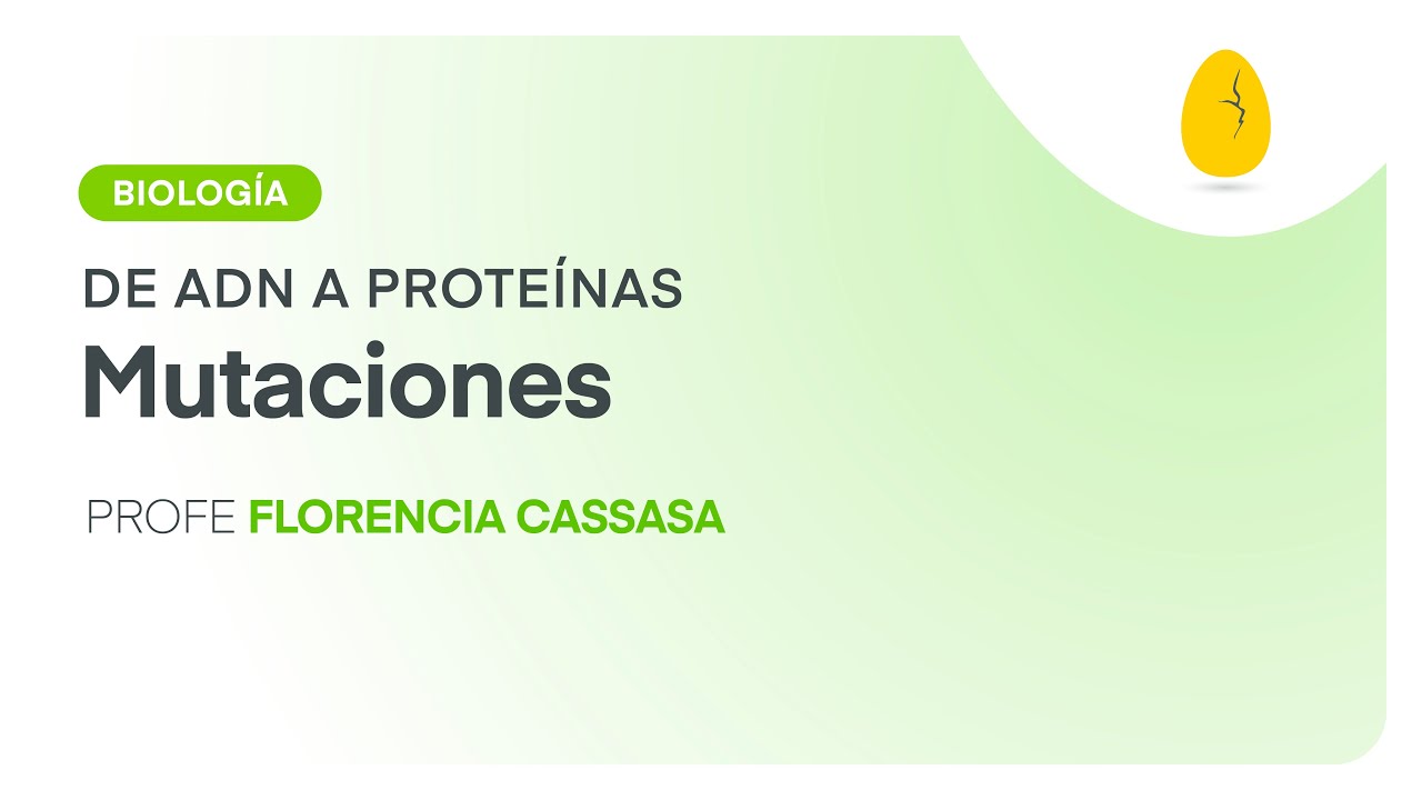 Mutaciones | Biología | De ADN a proteínas | V11 | Egg Educación